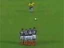 Piękny gol Roberto Carlosa