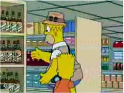 The Simpsons - Homer Paparazi