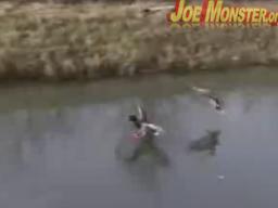 Lądowanie kaczek