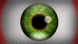 Oko - iluzja optyczna