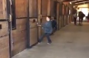 Dziecko próbuje wyciągnąć konia z boksu