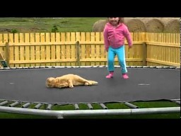 Kotek na trampolinie