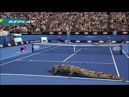 Krokodyli tenis
