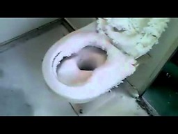 Toaleta w PKP