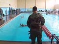Lekcja pływania marines