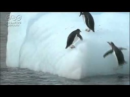 Pingwiny i śliska górka