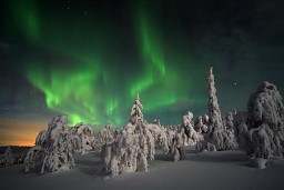 Zorza polarna widziana z Laponii