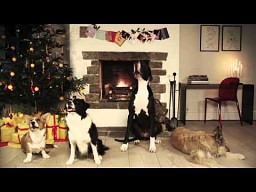 "Jingle barks" - rozszczekane Święta