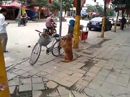 Chiński strażnik rowerów