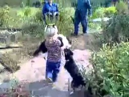 Dziewczynka ratuje kota przed bestią