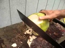 Tak się otwiera kokosa