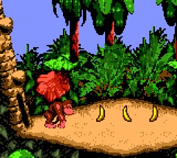 Play Donkey Kong Country