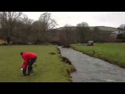 Pies skacze nad rzeką