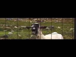 Taylor Swift - I Knew You Were Trouble Goat Edition