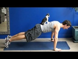 Gimnastyka z kotami
