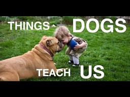 Uczcie się od psów