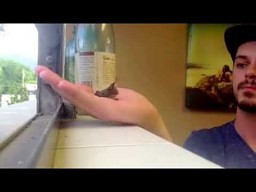 Mama kolibra znalazła dość odwagi by karmić go na dłoni