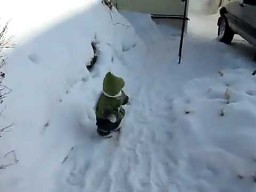 Szympans na śniegu