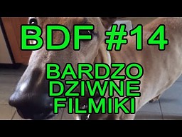 BDF! - Bardzo dziwne filmiki #14