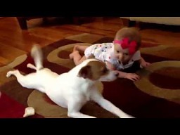 Pies uczy dziecko raczkować