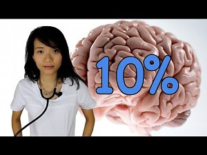 Czy używamy tylko 10% móżgu?
