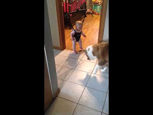 Dziwna reakcja psa na cień bawiącego się dziecka