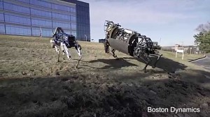 Spot - najnowszy robot Boston Dynamics