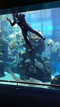 Nurek czyszczący akwarium spotyka swojego podwodnego pupila
