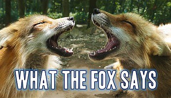 What does the Fox Say?