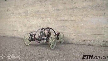 VertiGo - robot, który potrafi wspinać się po ścianach