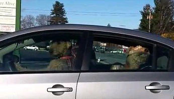 Psia rodzina trąbi klaksonem w samochodzie aby człowieki się pospieszyły