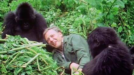 A tak BBC pamięta o zbliżających się 90 urodzinach Davida Attenborougha