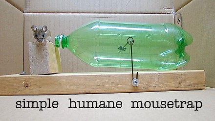 Humanitarna pułapka na myszy
