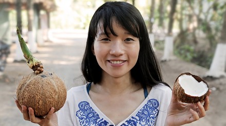 Kokosowy test i kokosowe ciekawostki