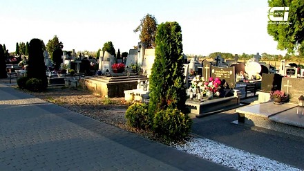 Konsternacja w Woźniakowie - "ciekawy" kształt krzewów na cmentarzu