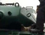 Nieudana próba kradzieży czołgu przez szopa pracza