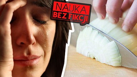 Dlaczego płaczemy krojąc cebulę i jak temu zapobiec | Nauka BEZ fikcji #09