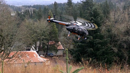 Rozbrykany pilot helikoptera MD-600N transportujący ścięte drzewka świąteczne