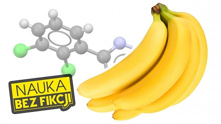 Ile chemii jest w bananach ? | Nauka Bez Fikcji