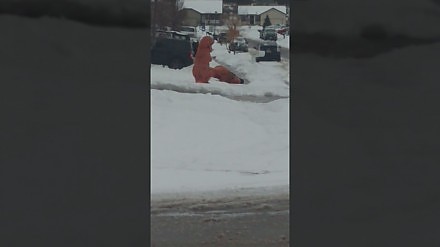 Dwa T-Rexy i walka na kule śnieżne