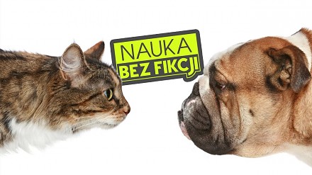 Naukowo o wyższości kotów nad psami | Nauka BEZ fikcji 