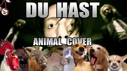 Rammstein - Du Hast (Animal Cover)