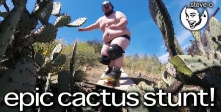 Steve-O namówił grubego Zacha na wjazd w kaktusy
