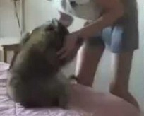 Niewidoma dziewczynka bawi się z kotem