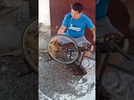 Chińska metoda czyszczenia słonecznika