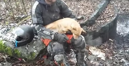 Endurowcy ratują psa porzuconego w lesie