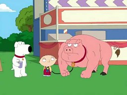 Family Guy - świnka Stewiego