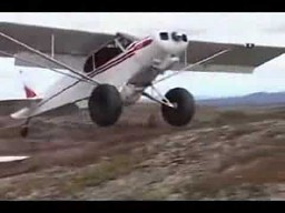 Piper Cub - najkrótsze lądowanie/start