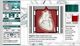 Virtual Open Heart Surgery